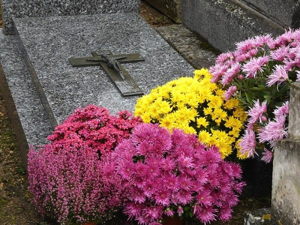 Forcella gestione pratiche cimiteriali